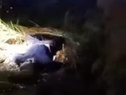 Mayat Mr X Ditemukan di Sawah