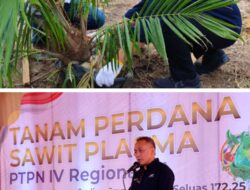 PTPN IV PalmCo Targetkan 2,1 Juta Bibit Unggul Diserap Petani Hingga 2024