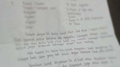 Kecewa Dituduh Selingkuh Mantan Suami