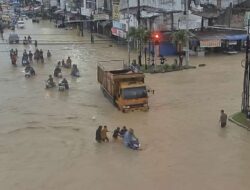 Kampung Lalang Bagaikan Lautan