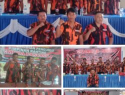 Mantap…! Sehari 13 Pimpinan Ranting PP se-Kabupaten Deliserdang Terpilih
