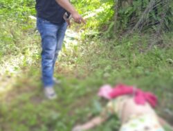 Marta Boru Situngkir Tewas Dibunuh, Pisau Tertancap di Perut