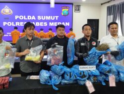 5 Kurir 46 Kg Ganja Diringkus Sat Resnarkoba Polrestabes Medan