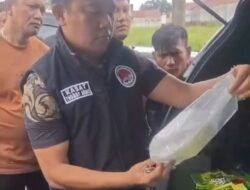 Satresnarkoba Polrestabes Medan Amankan 33 Kg Sabu dari Aceh