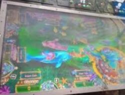 Judi Tembak Ikan Marak di Pancurbatu