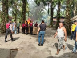 Tim Gabungan Gerebek Lapak Judi Sabung Ayam di Deliserdang, Pondok-pondok Dihancurkan