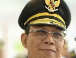 Bupati Tapsel Copot 2 Kades