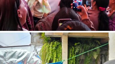 Warga Humbahas Antusias Sambut Kedatangan Bobby dan Gibran