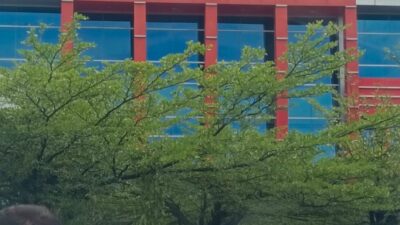 Judi Batu Goncang di Komplek Cemara Asri Tetap Beroperasi