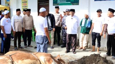 Perdana Sergai Terima Hewan Kurban Berbobot 820 Kg dari Presiden Prabowo