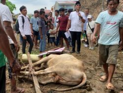 Makna Qurban RKBN: Relawan Bobby Nasution Jangan Pernah Lelah Bantu Rakyat