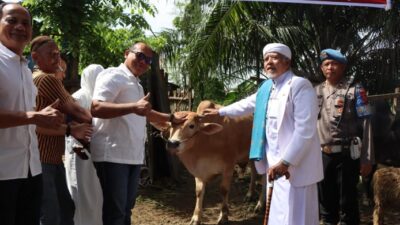 Polrestabes Medan Distribusikan 27 Ekor Hewan Kurban di Idul Adha 2025