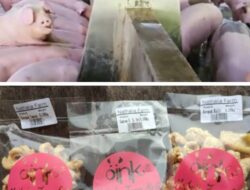 Natalia Farm Kembangkan Produk Lainnya