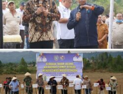 Gubernur Sumut dan Bupati JTP Tanam Jagung Bersama di Taput