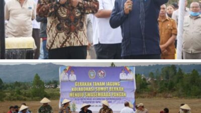 Gubernur Sumut dan Bupati JTP Tanam Jagung Bersama di Taput
