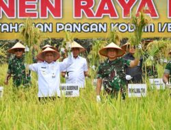 Wagub Sumut Bersama Panglima TNI Panen Raya Padi di Deliserdang