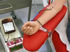 Meriahkan HUT RI ke-80, LCM Pionner dan PSMTI Kota Medan Gelar Donor Darah