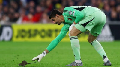 Tikus Hentikan Laga Kualifikasi Piala Dunia Wales Lawan Belgia