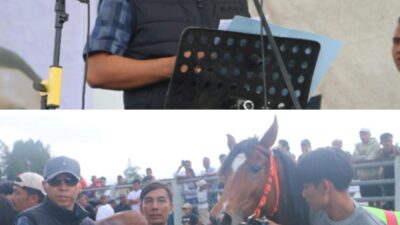 Bupati Taput Buka Indonesia Horse Racing Sumut Cup Seri I Tahun 2025