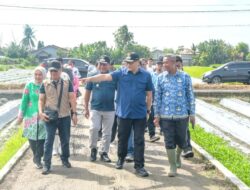 Pemkab Deli Serdang Terus Perkuat Sektor Pertanian