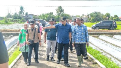 Pemkab Deli Serdang Terus Perkuat Sektor Pertanian