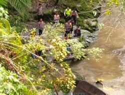 Truk Pengangkut Kayu Terjun ke Jurang di Sipahutar
