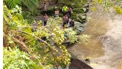 Truk Pengangkut Kayu Terjun ke Jurang di Sipahutar