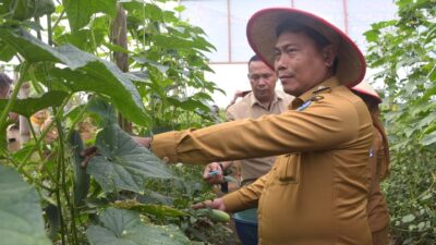Wabup: Deli Serdang Sehat, Petaninya Sejahtera