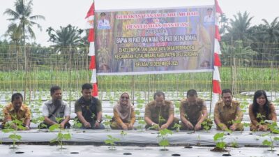 Gerakan Tanam Cabai Merah Langkah Konkret Tingkatkan Ketahanan Pangan