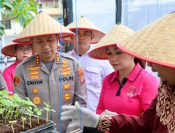 Polrestabes Medan Panen Perdana Melon Hidroponik