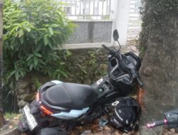 Tabrak Pohon, IRT Meninggal Dunia, Dua Anaknya Luka-luka