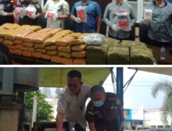 BNNP Sumut Tangkap 10 Bandar Narkoba,  Sita 210 Kg Ganja dan 4 Kg Sabu
