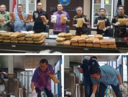 1,5 Juta Warga Sumut Terlibat Penggunaan Narkoba