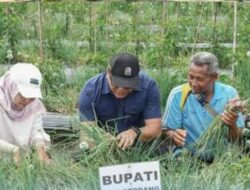 Bupati Deli Serdang Genjot Program Unggulan Ketahanan Pangan