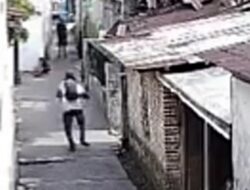 Kucing Persia Digondol Maling