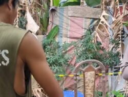 Mayat Wanita Dalam Boks Kontainer Bernama Rahmadani Siagian