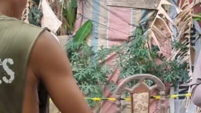 Mayat Wanita Dalam Boks Kontainer Bernama Rahmadani Siagian