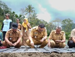Akan Ada 502 Ha Lahan TORA di STM Hulu Difokuskan Tanam Bawang