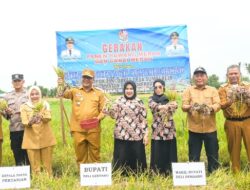 Pemkab Deli Serdang Siapkan Intervensi Pasar Jaga Stabilitas Harga dan Daya Jual