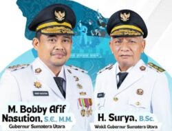 Survei LIPDem: Masyarakat Puas Kinerja 1 Tahun Bobby-Surya