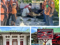 Caretaker PP Kecamatan Beringin Bagikan Kurban