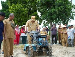 Bupati Percepat Modernisasi Pertanian Demi Efisiensi dan Produktivitas