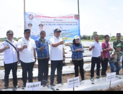 Tanam Cabai di Sunggal, Bupati Tindaklanjuti Keluhan Petani Soal Irigasi