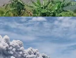 Gunung Sinabung Kembali Erupsi, Tinggi Kolom Abu Capai 3.500 Meter