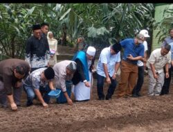 Sugiat Santoso Apresiasi Ponpes Al Hidayah Sei Mencirin Tanam 20 Hektar Bawang Merah