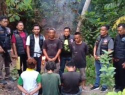 Satresnarkoba Polres Labuhanbatu GSN, 3 Orang Diamankan